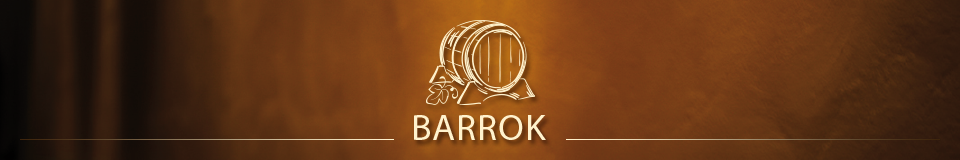 Barrok Logo